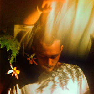 成人黄色在线网站
